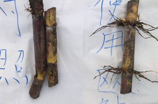 b5bc8e15c8b550fbdb2566b81fd3483c (1).jpg