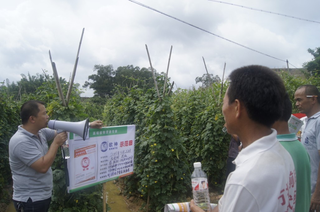 廣西南寧市五塘鎮(zhèn)示范田4-1.JPG